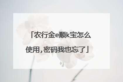 农行金e顺k宝怎么使用,密码我也忘了