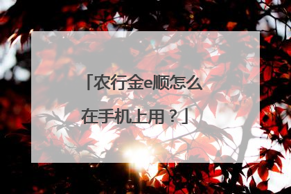 农行金e顺怎么在手机上用?