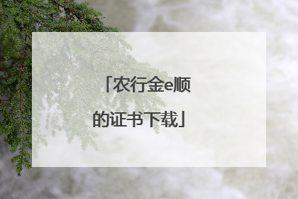 农行金e顺的证书下载