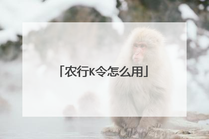 农行K令怎么用