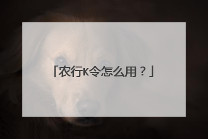 农行K令怎么用?