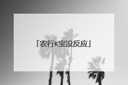 农行K宝没反应