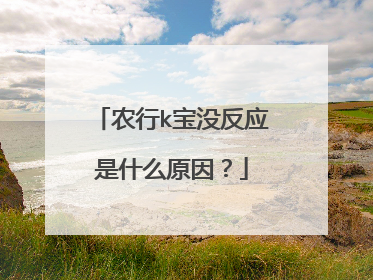 农行k宝没反应是什么原因?
