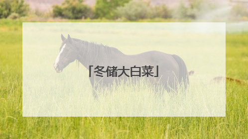 冬储大白菜