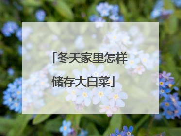 冬天家里怎样储存大白菜