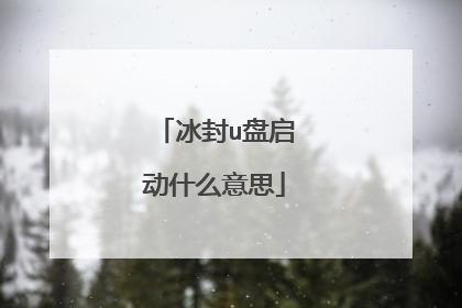 冰封u盘启动什么意思