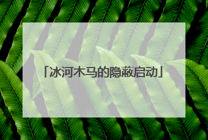 冰河木马的隐蔽启动