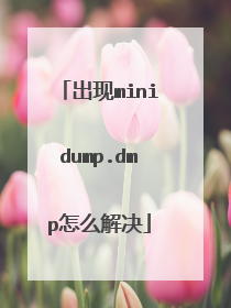出现minidump.dmp怎么解决