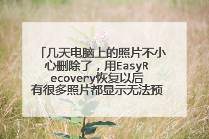 几天电脑上的照片不小心删除了,用EasyRecovery恢复以后有很多照片都显示无法预览,下了一个JPEG Enhancer
