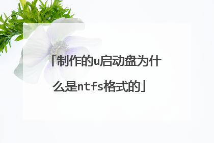 制作的u启动盘为什么是ntfs格式的