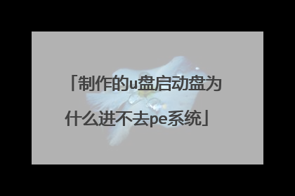 制作的u盘启动盘为什么进不去pe系统