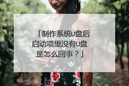 制作系统U盘后启动项里没有U盘是怎么回事?