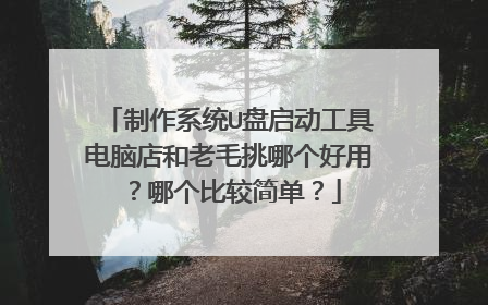 制作系统U盘启动工具电脑店和老毛挑哪个好用?哪个比较简单?