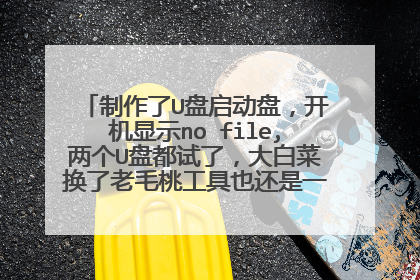 制作了U盘启动盘,开机显示no file,两个U盘都试了,大白菜换了老毛桃工具也还是一样。怎么回事?