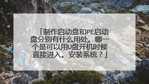 制作启动盘和PE启动盘分别有什么用处。哪一个是可以用U盘开机时候直接进入。安装系统?