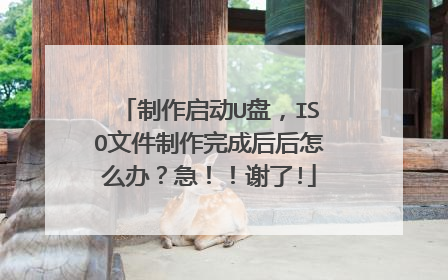 制作启动U盘,ISO文件制作完成后后怎么办?急!!谢了!