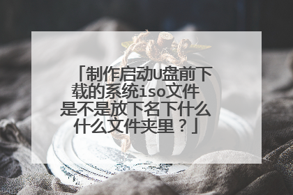 制作启动U盘前下载的系统iso文件是不是放下名下什么什么文件夹里？