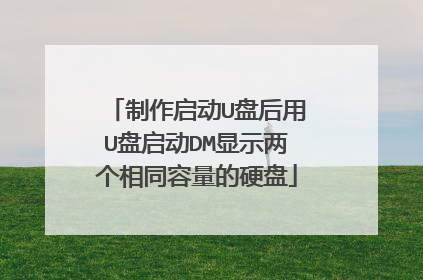 制作启动U盘后用U盘启动DM显示两个相同容量的硬盘