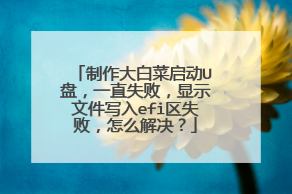 制作大白菜启动U盘,一直失败,显示文件写入efi区失败,怎么解决?