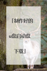 制作好的u盘启动盘下载
