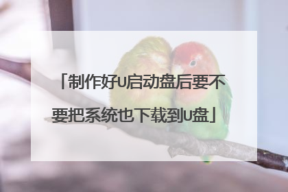 制作好U启动盘后要不要把系统也下载到U盘