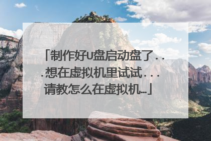 制作好U盘启动盘了...想在虚拟机里试试...请教怎么在虚拟机…