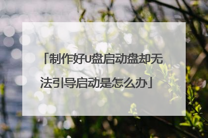 制作好U盘启动盘却无法引导启动是怎么办