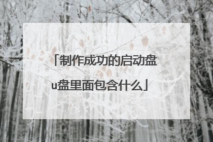 制作成功的启动盘u盘里面包含什么