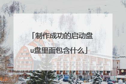 制作成功的启动盘u盘里面包含什么