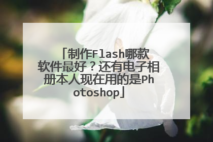 制作Flash哪款软件最好?还有电子相册本人现在用的是Photoshop