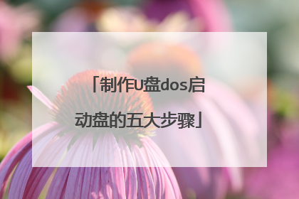 制作U盘dos启动盘的五大步骤