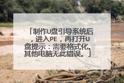 制作U盘引导系统后，进入PE，再打开U盘提示：需要格式化。其他电脑无此错误。