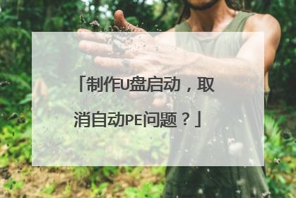 制作U盘启动,取消自动PE问题?