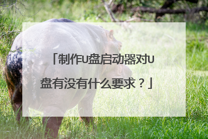 制作U盘启动器对U盘有没有什么要求?