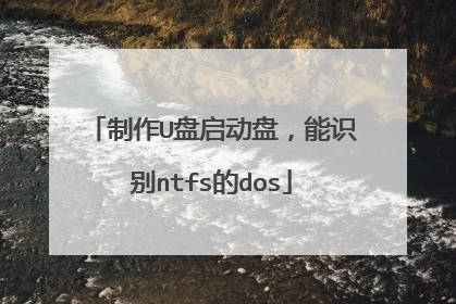 制作U盘启动盘,能识别ntfs的dos