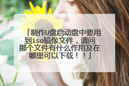 制作U盘启动盘中要用到iso镜像文件,请问那个文件有什么作用及在哪里可以下载!!