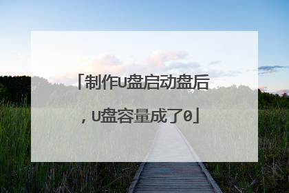 制作U盘启动盘后，U盘容量成了0