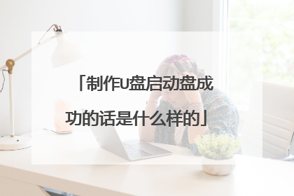 制作U盘启动盘成功的话是什么样的