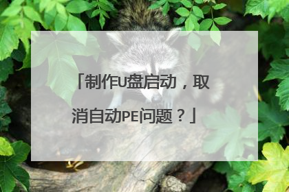制作U盘启动,取消自动PE问题?