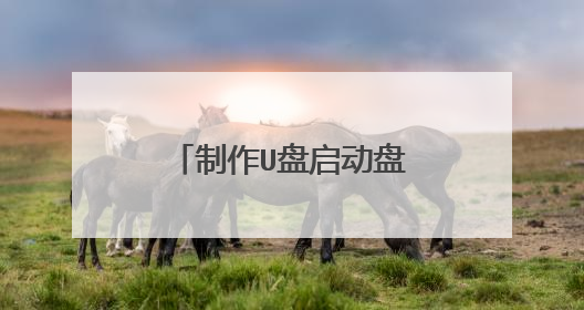 制作U盘启动盘下载装机版还是uefi啊？