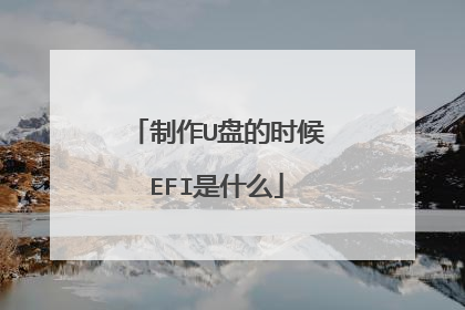 制作U盘的时候EFI是什么