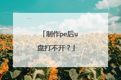 制作pe后u盘打不开？