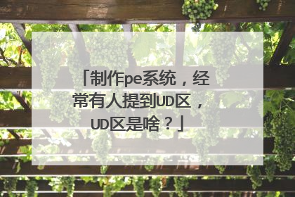 制作pe系统,经常有人提到UD区,UD区是啥?