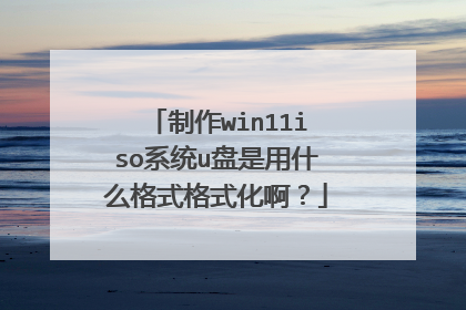 制作win11iso系统u盘是用什么格式格式化啊？