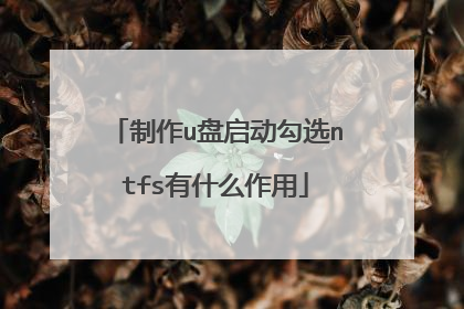 制作u盘启动勾选ntfs有什么作用