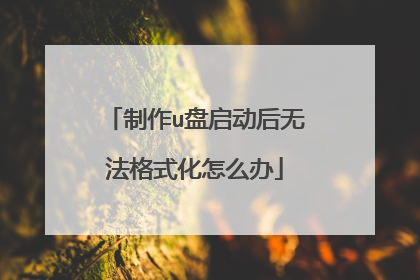 制作u盘启动后无法格式化怎么办