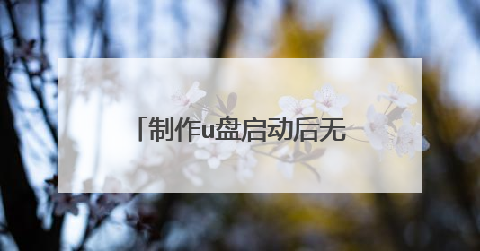 制作u盘启动后无法格式化怎么办?