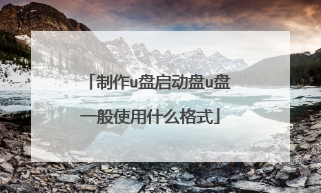 制作u盘启动盘u盘一般使用什么格式