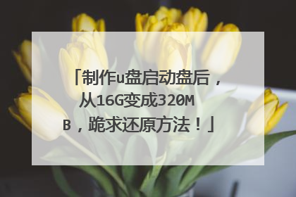 制作u盘启动盘后，从16G变成320MB，跪求还原方法！
