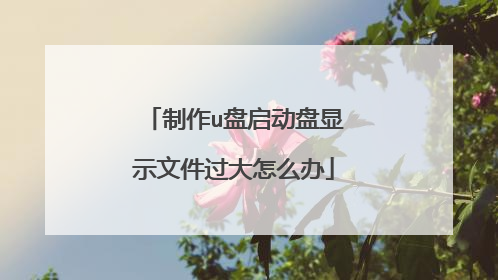 制作u盘启动盘显示文件过大怎么办